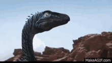 Eoraptor Roaring GIF - Eoraptor Roaring Dinosaur GIFs