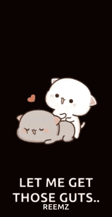 a couple of cats laying next to each other on a black background with the words `` let me get those guts . ''