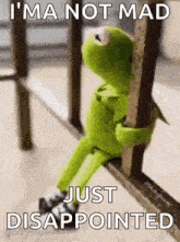 kermit the frog is sitting on a railing and saying `` i 'm a not mad just disappointed '' .