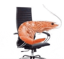Shrimp Sitting GIF - Shrimp Sitting Office Chair GIFs