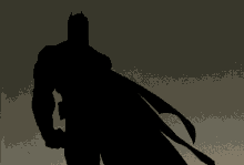 Batman Superman Dawn Of Justice GIF