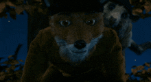 a fox and a squirrel are looking at the camera in the dark