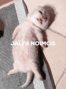 Jalfa Jalfa D GIF - Jalfa Jalfa D Jalfanomics GIFs