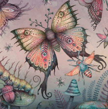 Moth Watercolor GIF - Moth Watercolor Wings GIFs