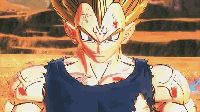 Majin Vegeta Gif - rileyferguson Photo (34992368) - Fanpop - Page 6