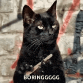 a black cat is holding a nail file in its paw