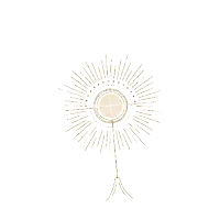 a drawing of a flower with a cross in the center