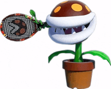 plant tennis