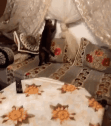 a cat is standing on a bed with a floral blanket