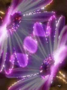Purple Flowers GIF - Purple Flowers GIFs