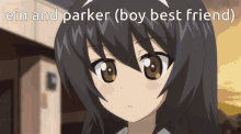 Girls Und Panzer Parker GIF