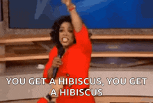 Oprah Oprah Meme GIF