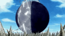 a black and white ball is sitting on top of a grassy field .