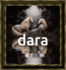 Dara Destiny 2 GIF - Dara Destiny 2 Love GIFs