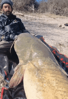 a man with a beard sits next to a large fish on a beach
