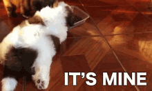 Typical Day Paningning The Real Paningning GIF