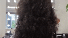 a woman with long curly hair is getting her hair cut by a hairdresser .