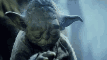 Yoda Woe GIF - Yoda Woe Kjedi GIFs