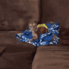 a dog with a tiger 's face is standing on a couch .
