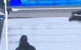 a person is standing in a wrestling ring .