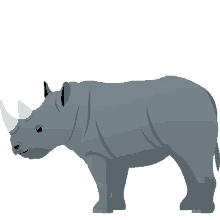 rhinoceros nature joypixels strong bullish