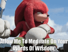 Knuckles Tv Show Allow Me To Meditate On Your Words Of Wisdom GIF