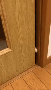 a cat peeking out of a wooden door .