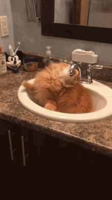 GIF