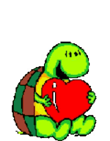 Turtle Heart GIF