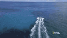 Cruising Gordon Goes Spearfishing For Snapper GIF
