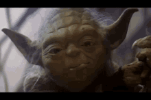 Phychoweiner Yoda GIF