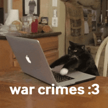 Cat War Crimes GIF