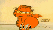 กาฟิว อิ่ม GIF - Garfield Im Full GIFs