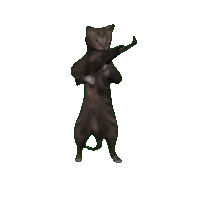 a cat is standing on its hind legs holding a gun and giving the middle finger