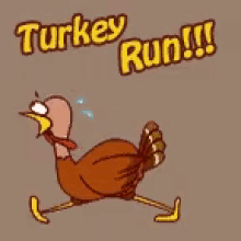 Turkey Run GIF - Turkey Run GIFs