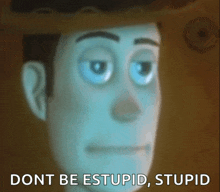 woody from toy story says " dont be stupid stupid " in front of his face