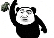 a panda bear is holding a grenade up in the air .