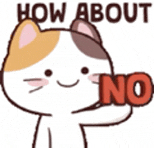 a calico cat is holding a red sign that says `` how about no '' .