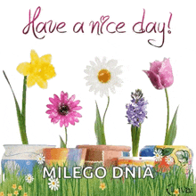 Have A Nice Day Greeting GIF