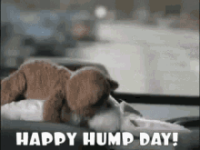 Happy Hump Day Blaupunkt Ad GIF - Happy Hump Day Blaupunkt Ad The Advantage In Your Car GIFs