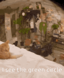 I See You Online GIF - I See You Online GIFs
