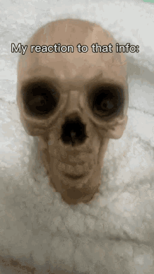 Skull Lmao GIF - Skull Lmao My Reaction To That Information GIFs