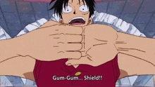 a cartoon character says gum-gum-shield in a speech bubble