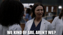 Greys Anatomy Amelia Shepherd GIF - Greys Anatomy Amelia Shepherd We Kinda Of Are Arent We GIFs