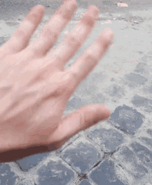 a close up of a person 's hand on a cobblestone sidewalk