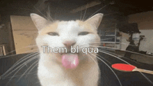 a cat is sticking its tongue out with the words them bl qua written above it