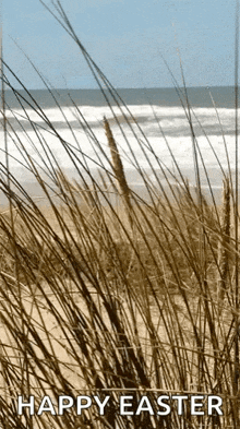 Grass Waving GIF - Grass Waving Sea GIFs