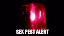 sexpest alert alarm