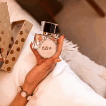 Perfumy Perfumes GIF - Perfumy Perfumes Zapchy GIFs
