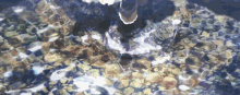 a person 's feet are visible in the water surrounded by rocks